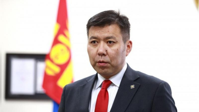 «Борьба с бродячими собаками»: в Монголии разработали законопроект о домашних животных